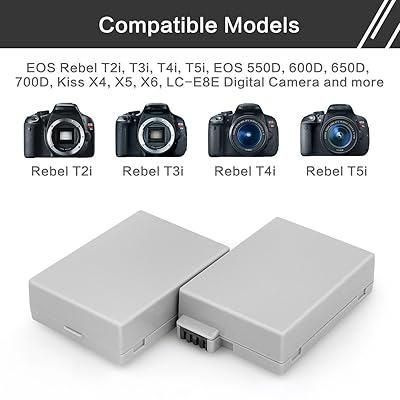 Buy Enegon Replacement Battery 2 Pack And Rapid Dual Charger For Canon Lp E8 And Canon Eos Rebel T2i T3i T4i T5i Eos 550d 600d 650d 700d Kiss X4 X5 X6 X6i X7i Lc E8e
