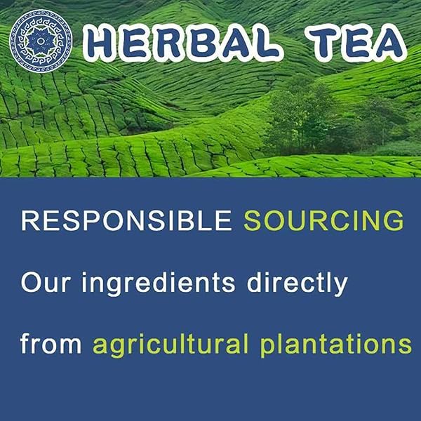 YI CAO AN SPEARMINT HERBAL TEA – 50 TEA BAGS