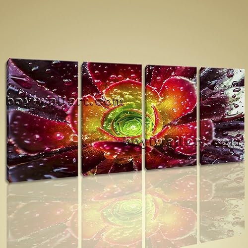 Amazon.com: Large Contemporary Abstract Floral Picture Print Wall Art