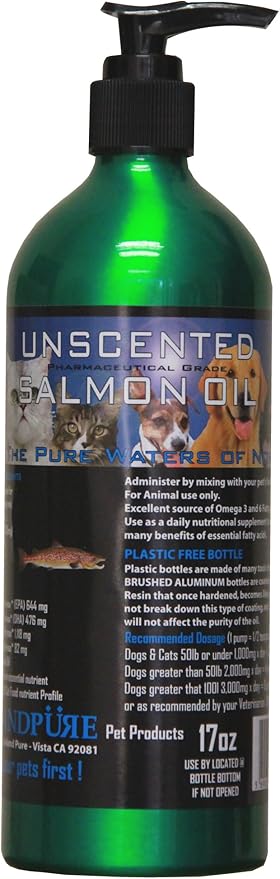 french bulldog seizure youtube