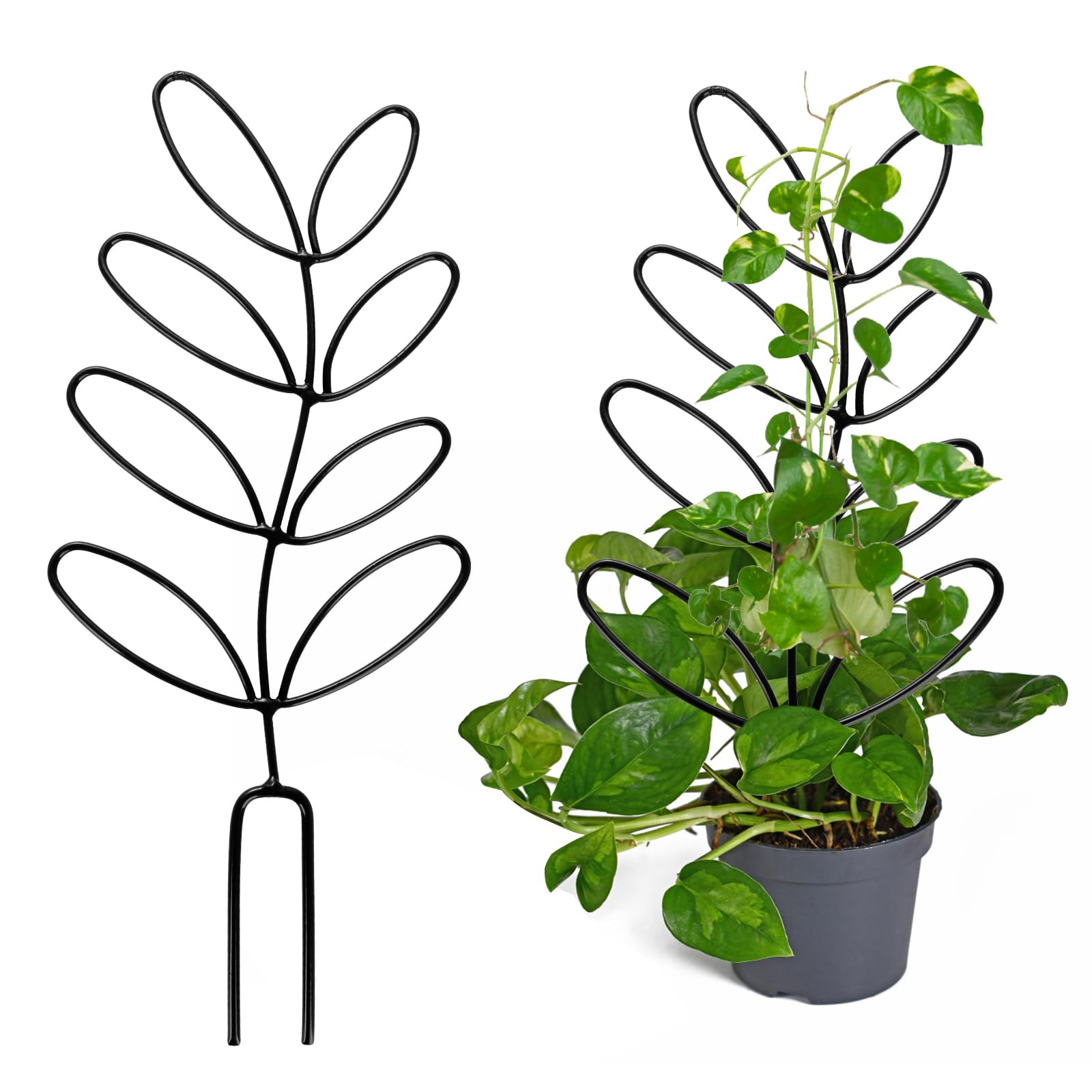 TITA-DONG 12.4 Inch Green Metal Garden Trellis for Potted Plants, Cute Leaf Shaped Trellis, Mini Decorative Garden Trellis for Potted Plants Vegetables Peas Ivy(Black)