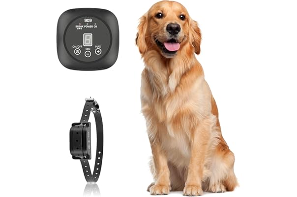 wireless dog fence black friday