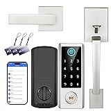 Fingerprint Door Lock with Handle Sets, BEBASIA