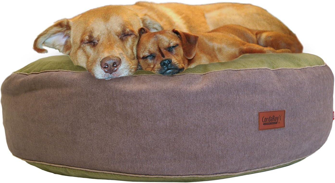 dog bean bag chair
