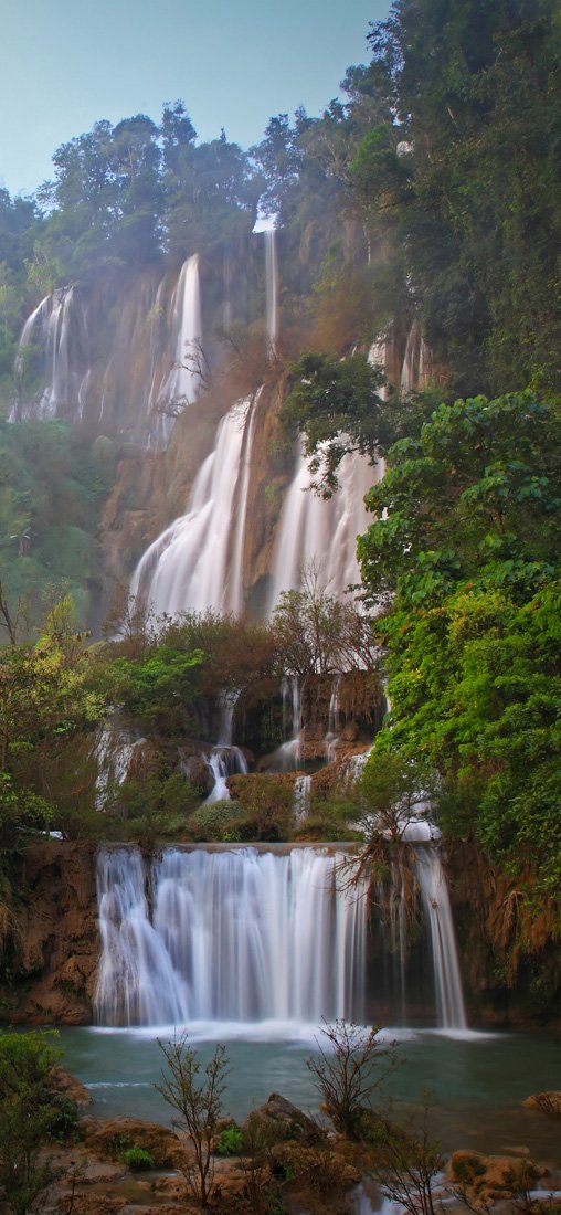 PeelitStickit Jungle Forest Wallpaper Design, Wall Mural ID-005, vinyl