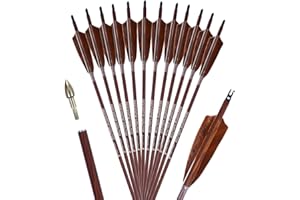 PANDARUS Archery 31-Inch Carbon Hunting Arrows, 4-Inch Turkey Feather Fletching with Replaceable Points, Targeting Practice Arrows Spine 500 for Recurve & Traditional Bows