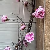 (2pcs) Flexible 118 inch Large Flexible Artificial Tree Fall Vines Twine Wood Branches with Peony Flowers Garland Twig Reptile Climbing Fake Plants for Wedding Arch Christmas Wall Door Hanging