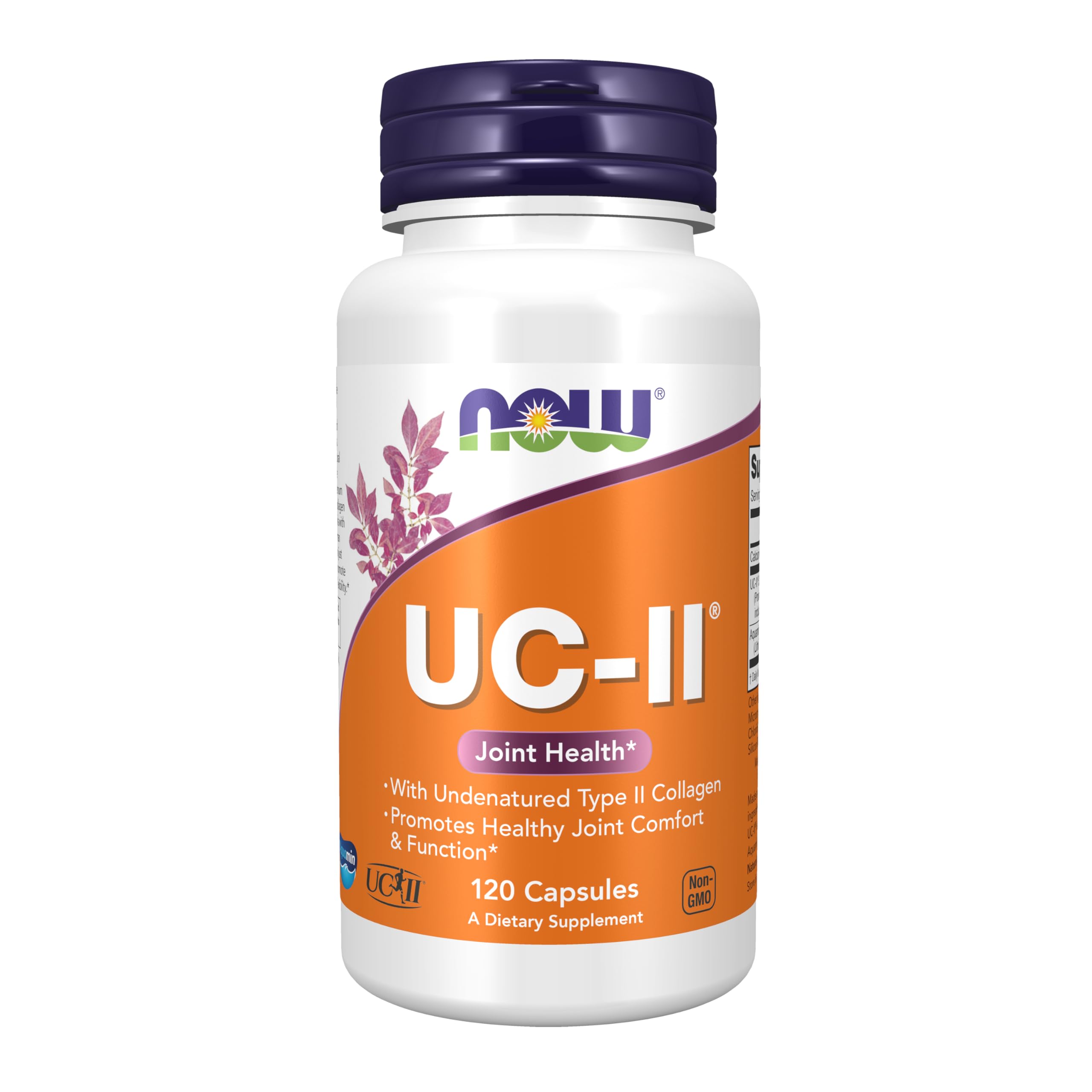 UC-II Joint Health