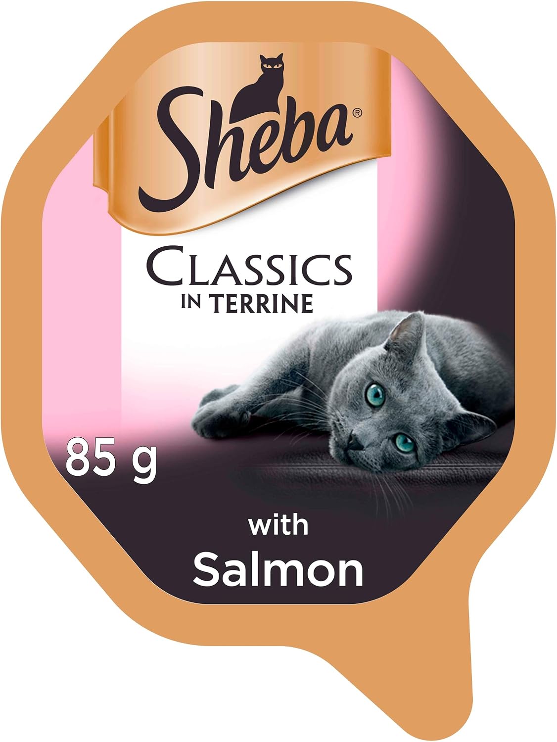 Sheba Classics Cat Food Trays Salmon in Terrine, 85 g (Pack of 22)