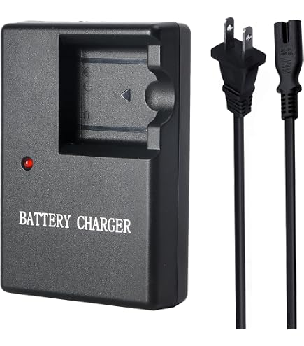 Amazon.com : Sunny-room Battery Charger for Fujifilm FinePix JX400