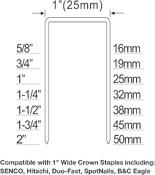 PGP PWC50 featured image 6