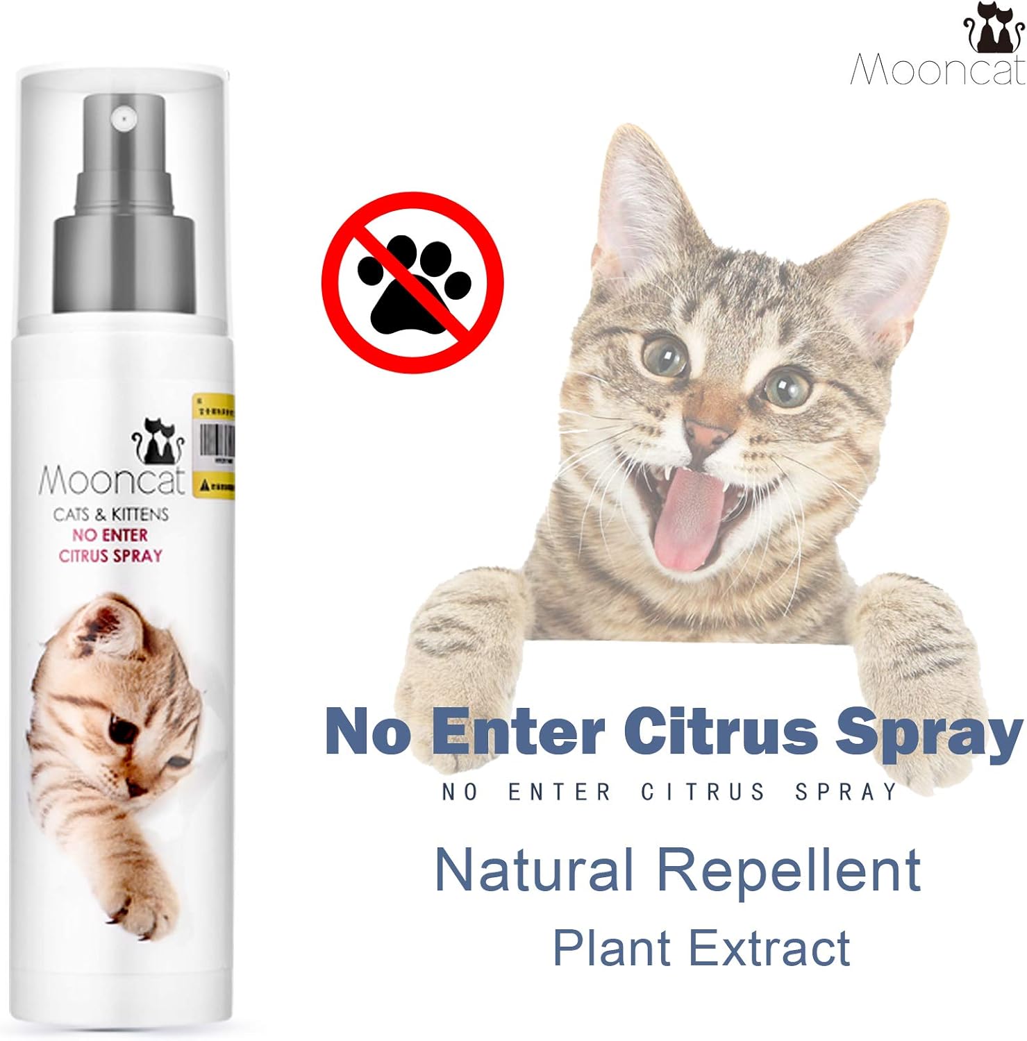 how to tell the difference between a male and female guinea pig