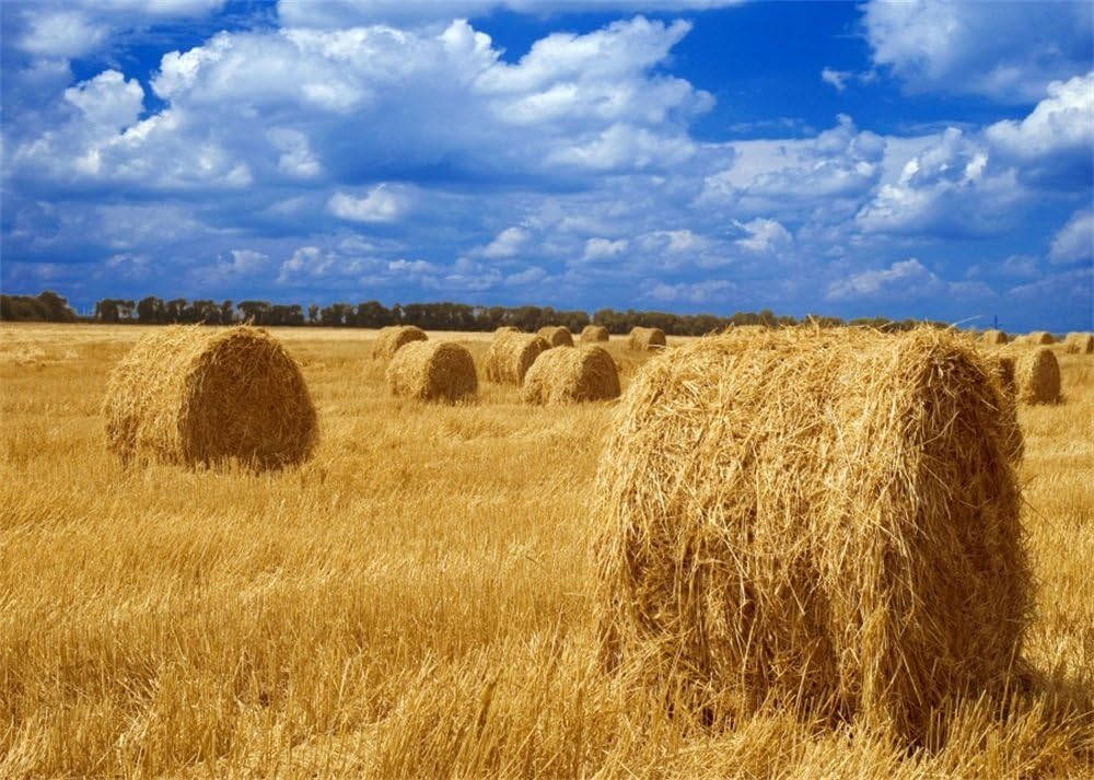 Leowefowa 7X5FT Vinyl Photography Backdrop Farmland Wheat Field Straw Hay Bale Blue Sky White Cloud Forest Nature Autumn Harvest Background Kids Children Adults Photo Studio Props
