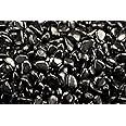 Fantasia Materials: 1/4 lb Tumbled Shungite Stones from Russia