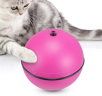 Amazon Com Yuejing Cat Ball Toys Interactive Cat Toy For Kitty
