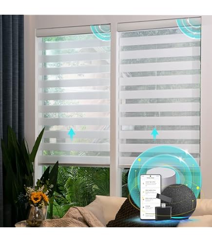 Amazon.com: CITOLEN Motorized Zebra Blinds with Remote for Indoor