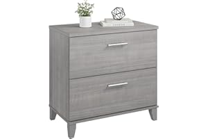 BUSH HOME Bush Furniture 2 Drawer Lateral File Cabinet, Letter and Legal-Size Document Storage for Home or Professional Office, Somerset Collection, Platinum Gray