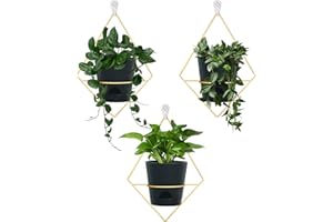 Koalaime 3 Sets Wall Planters for Indoor Plants Geometric Hanging Planters for Indoor Plants - Self-Watering Flower Pots with Black Metal Holder, Mounted Succulent Planter, 5" Black Plant Pot