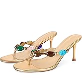 Wnshonzy Women's Strappy Heeled Sandals Jewelled Thong Flip-Flop Kitten Heels Slip On Pumps Stiletto Dressy Summer Mule High Heel Round Open Toe Fashion Vintage Bohemia