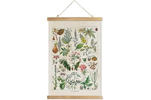 XIAOAIKA Vintage Botany Poster with Wooden Frame, Antique Poisonous Plants Chart - Botanical Educational Art with Dangerous Species - Retro-Style Wall Hanging for Home Classroom Decor 16 x 23 Inches