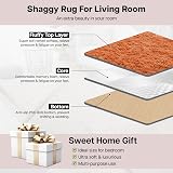 Aspire Homeware Round Rug 120x120cm Anti Slip Soft Shaggy Thick Pile view 3