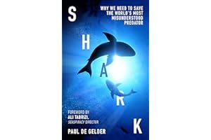 Shark: Why we need to save the world’s most misunderstood predator – for Shark Week, Seaspiracy and conservation fans
