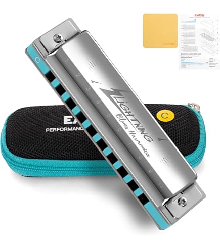 Amazon.com: SEYDEL Blues SESSION STEEL Harmonica F : Musical