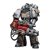 Pipigirl JoyToy 40K Space Marine Genuine License