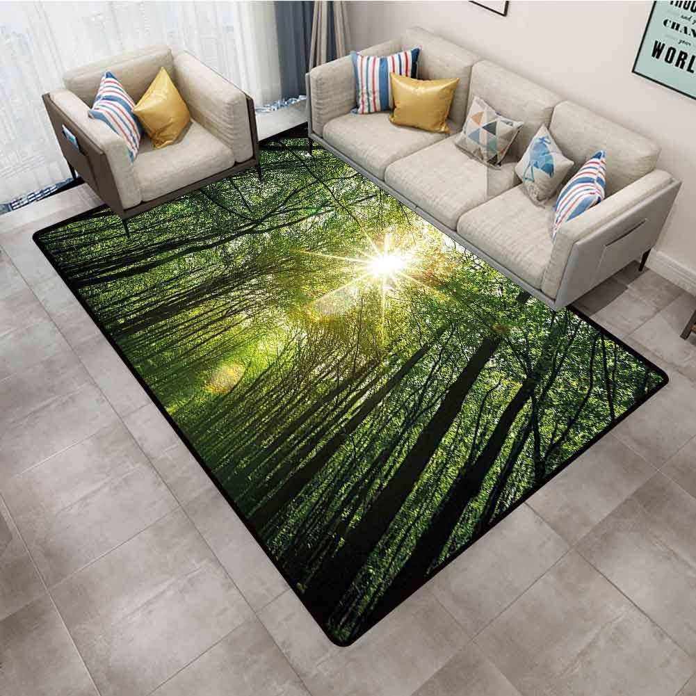 Kids Rug Forest Summer Trees Upward View with Sunrays Leaking from Branches Nature Image Fern Green Yellow Floor Carpet 6'x9'