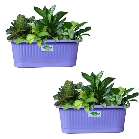 Minerva Naturals Railing Pots,Plastic Railing Pots | Wall Planter - Violet (Pack Of 2)