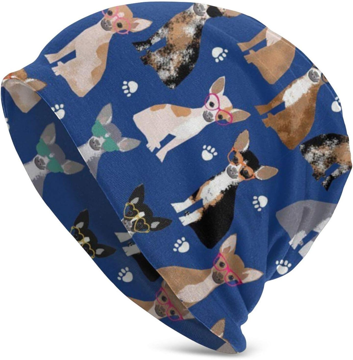 chihuahua hats and sunglasses