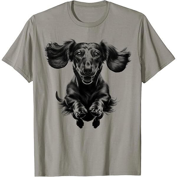 Amazon.com: Long Hair Dachshund Puppy Best Dog Walking Pet