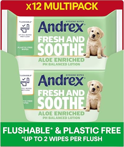 Andrex Fresh Soothe Hygiene Wipes 12 Pack Flushable Aloe Vera Skin Kind