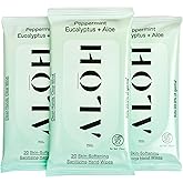 ALŌH Peppermint Eucalyptus Sanitizing Hand Wipes - Clean Hands, Clear Mind On The Go Sanitizer for Kids and Adults - Travel Size 6 packs of 20ct Wipe (120 Wipes)