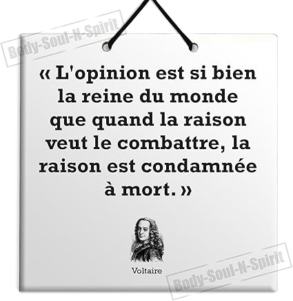 Voltaire Vente Citation Ceramique Tenture Plaque Tuile Decor Cadeaux L Opinion Amazon Fr Cuisine Maison Voltaire Vente Citation Ceramique Tenture Plaque Tuile Decor Cadeaux L Opinion Amazon Fr Cuisine Maison
