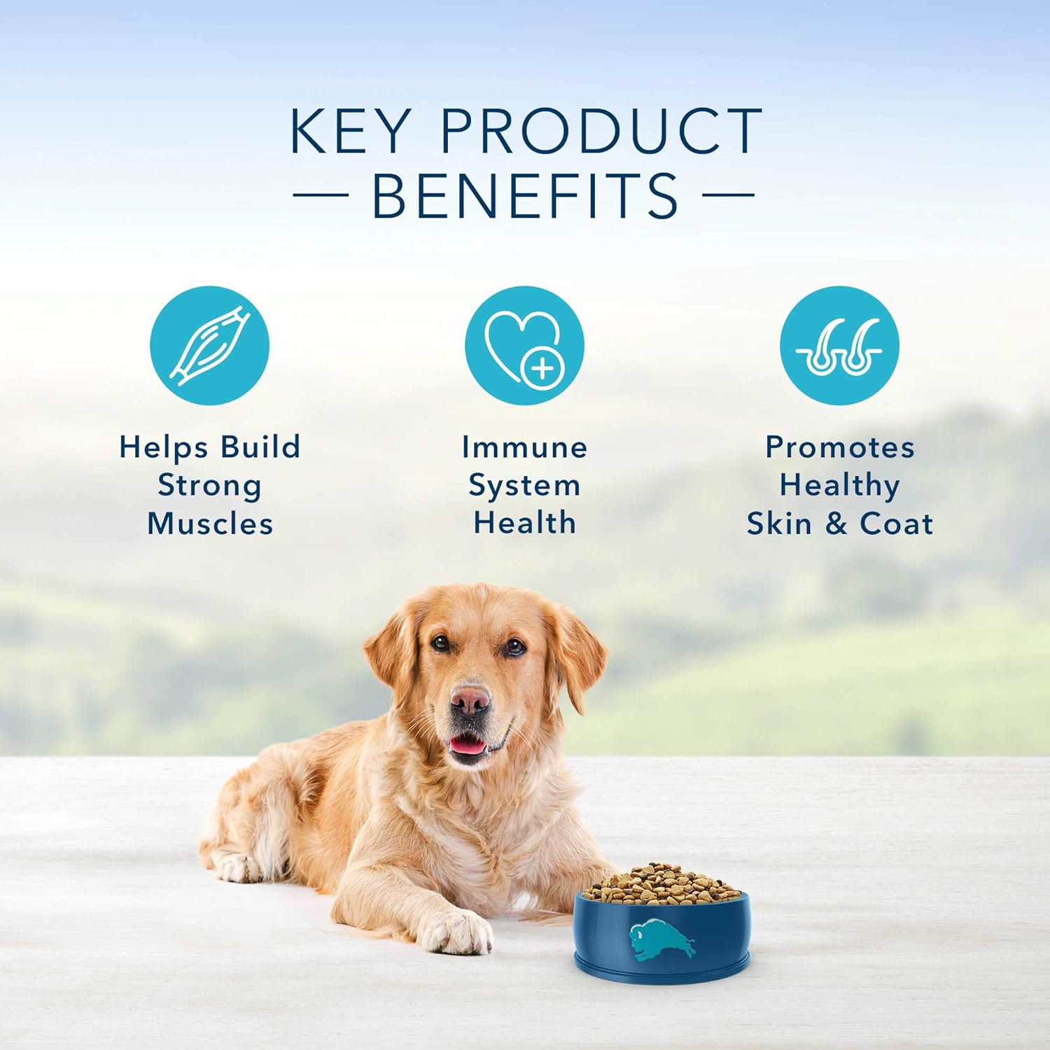 Blue Buffalo Life Protection Formula Adult Dog Food – Natural Dry Dog Food for Adult Dogs – Chicken and Brown Rice – 30 lb. Bag: Pet Supplies