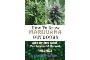 How to Grow Marijuana Outdoors: Step-By-Step Guide for Successful Harvest