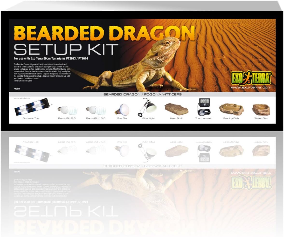 exo terra bearded dragon starter kit