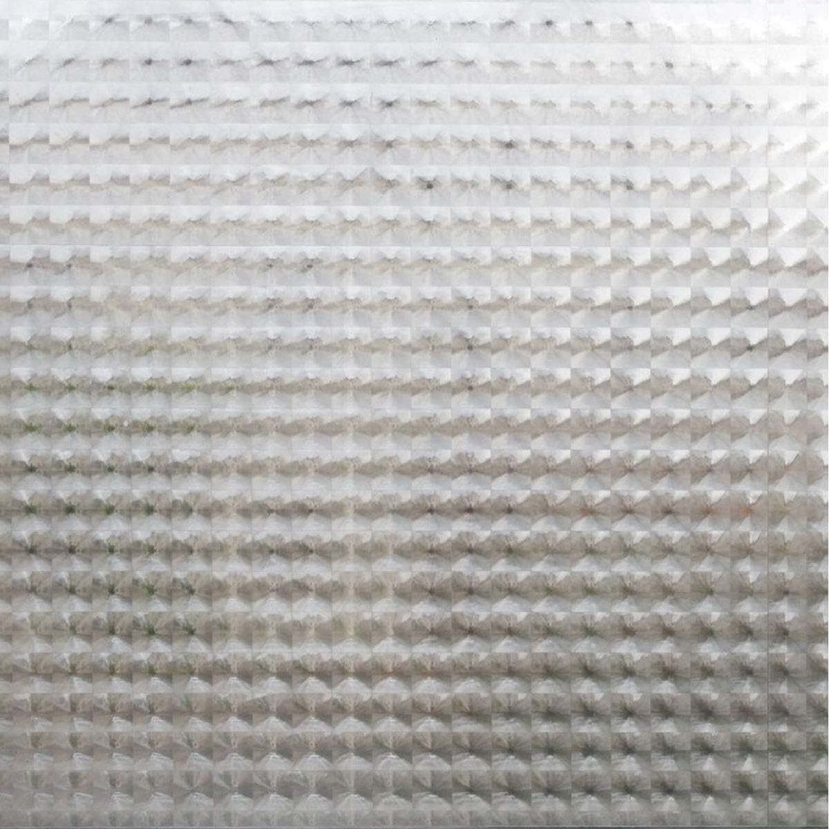 Window Film 150x45cm Privacy Film Venyl - Static, Self-Adhesiv Foil - Cristal