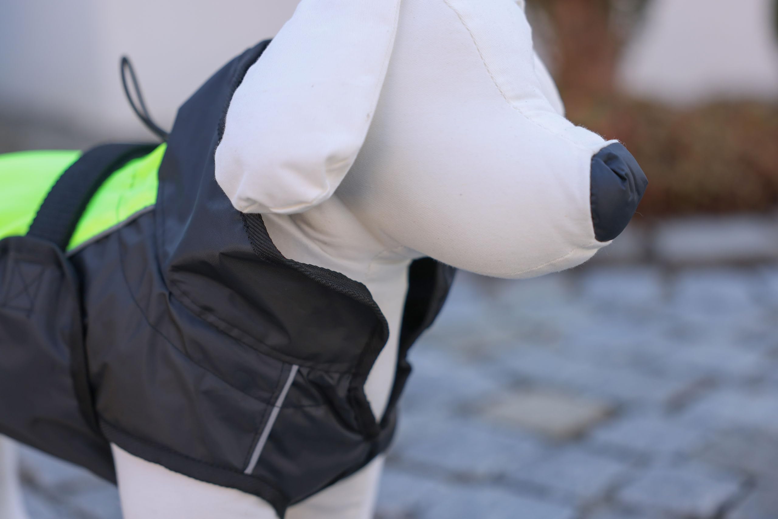 View 8