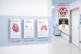 Deflecto Portrait Literature Stands Wall Mounted 1/3 A4 DL Size view 6