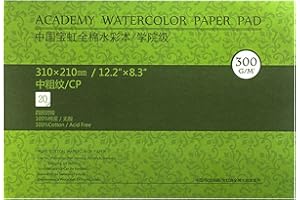 MEEDEN 9X12" Watercolor Paper Block, 20 Sheets (140lb/300gsm), Textuered Surface 100% Cotton WaterColor Paper, Cold Press, Ac