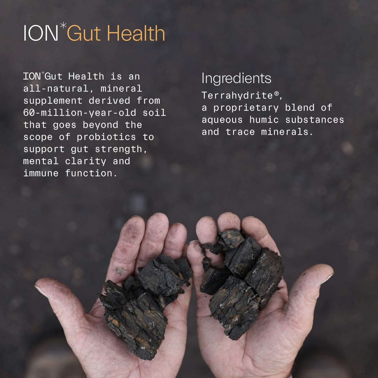 ION*Gut Health | Promotes Digestive Wellness, Strengthens Immune Function, Alleviates Gluten Sensitivity, Enhances Mental Clarity | 2-Month Supply (32 oz.): Health & Personal Care