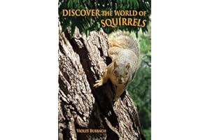 Discover the World of Squirrels: Illustrated Kids Book With Fun Facts About Squirrels And Builds Kids Vocabulary