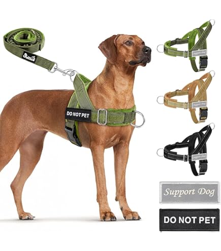 FLAVOR.× PORTER DOG RUCK Porter Backpack Porter Containers For Food Cleverpup