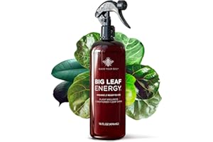 BLESS YOUR SOIL Big Leaf Energy (16 FL OZ) Organic Neem Oil Spray for Plants + Essential Oils : Ready to Use Plant Wash for Indoor Houseplants & Outdoor Gardens, Natural Leaf Shine