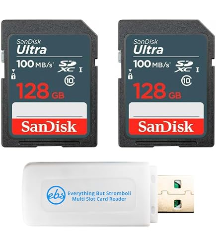 Amazon.com: SanDisk 2-Pack 256GB Ultra Memory Card SDXC Compatible