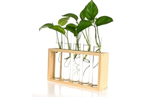 Kingbuy Wall Hanging Glass Planter Propagation Station Test Tube Vase Flower Pots in Vintage Wood Stand Rack with 5 Tabletop Terrarium Windowsill Accessory, Wedding, Kitchen (5 Test Tube, Burlywood)