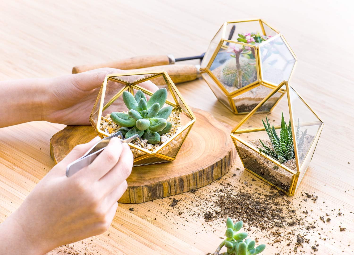 Mkono Mini Glass Geometric Terrarium Container Set of 3 Modern Tabletop Planter Windowsill Decor Shelves DIY Display Box Centerpiece Gift for Succulent Air Plant Miniature Fairy Garden, Gold, 4": Garden & Outdoor