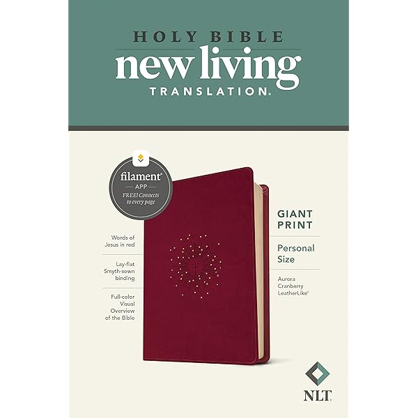 NLT Compact Zipper Bible, Filament Enabled (LeatherLike, Charcoal